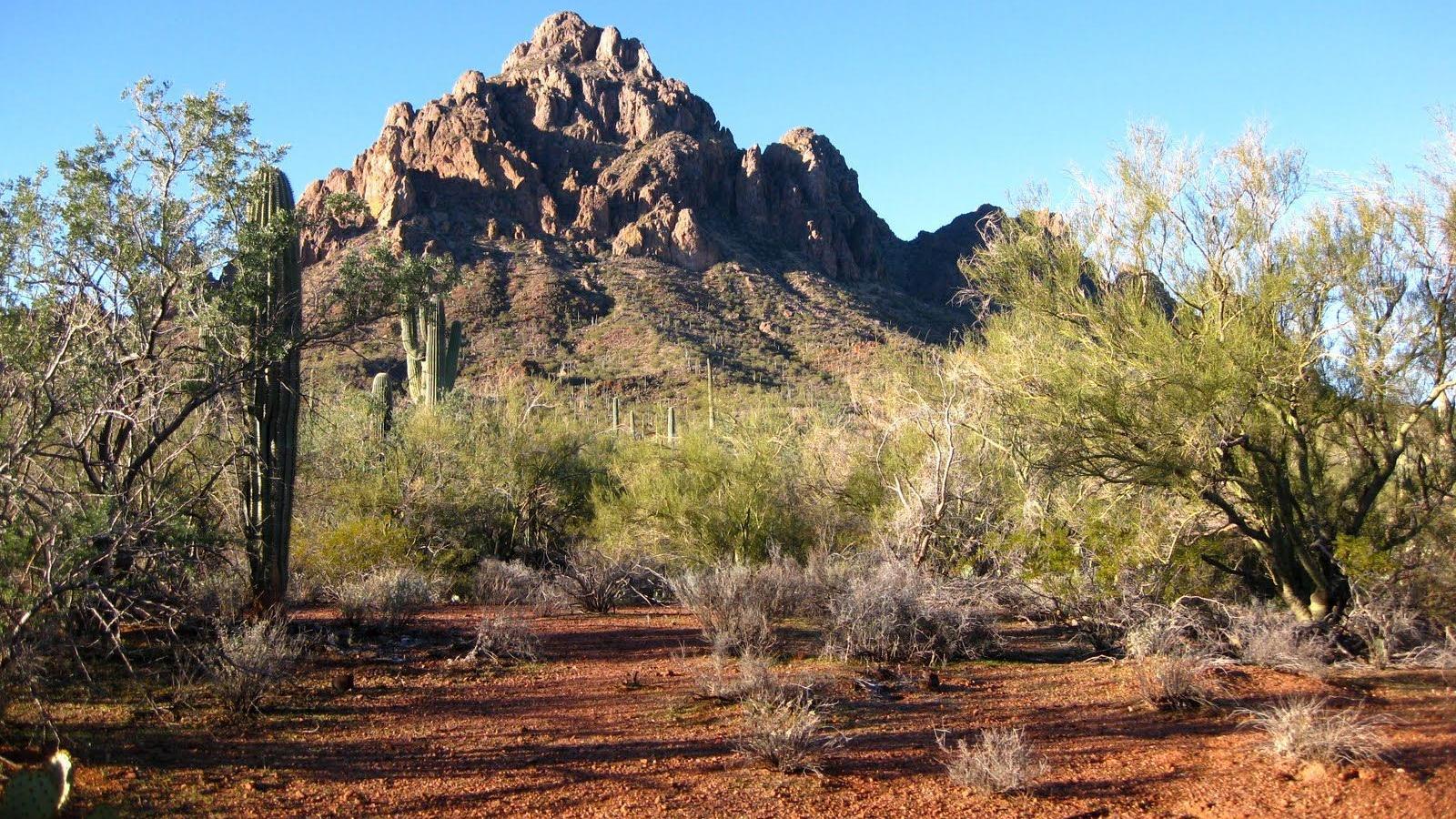 Small mining company seeks to kill Ironwood Monument designation